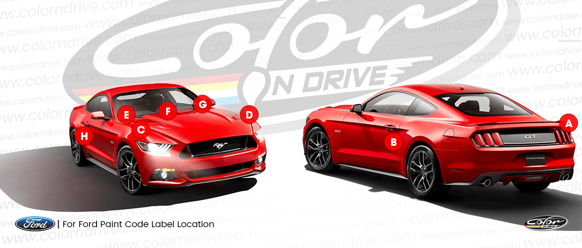 MUSTANG 100TH ANNIVERSARY ED. Paint Code Location
