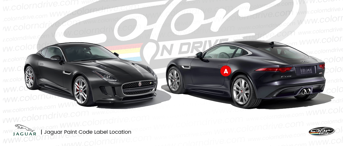 Jaguar Renk Etiketi Bulma